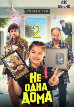 Не одна дома 2