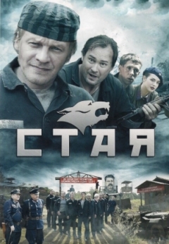 Стая