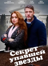 Секрет упавшей звезды