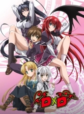 Старшая школа DxD