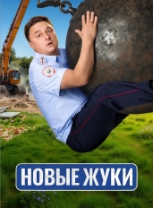 Жуки