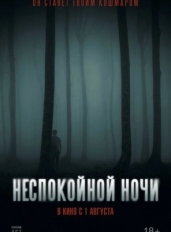 Неспокойной ночи