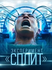 Эксперимент «Сплит»