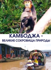 Камбоджа - великие сокровища природы