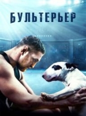 Бультерьер